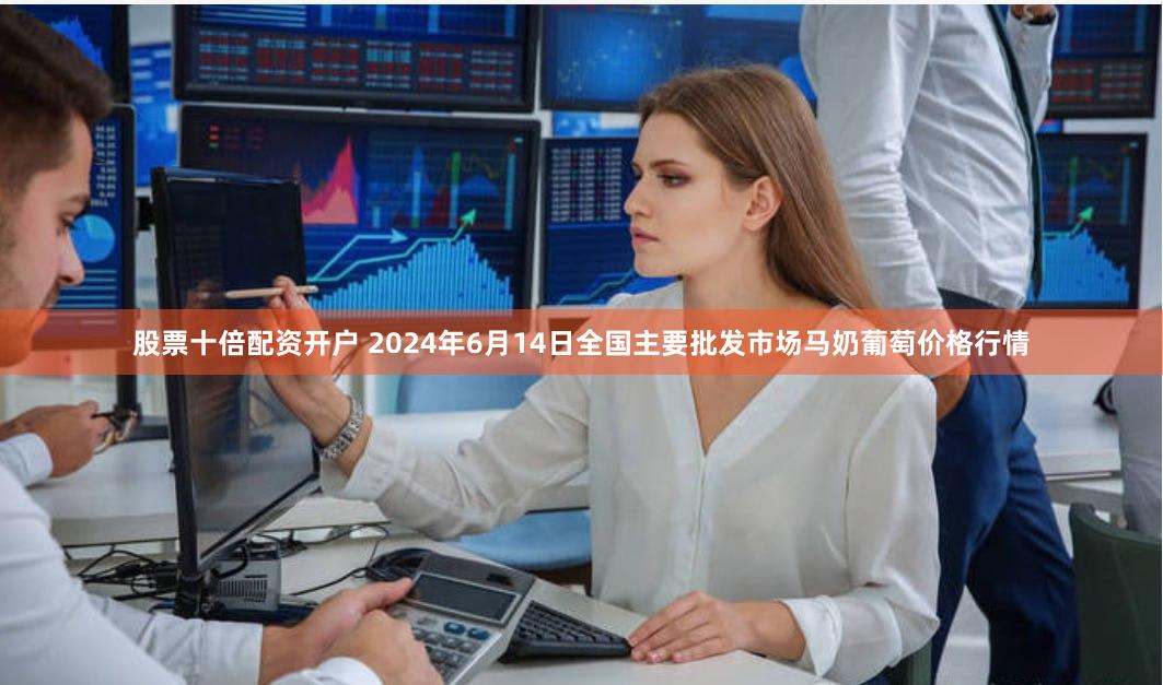 股票十倍配资开户 2024年6月14日全国主要批发市场马奶葡萄价格行情