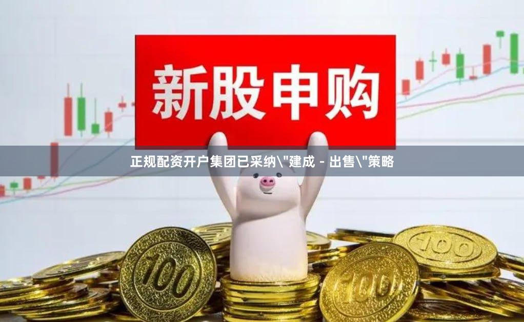 正规配资开户集团已采纳