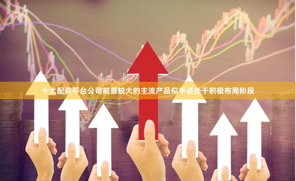 十大配资平台公司前景较大的主流产品似乎还处于积极布局阶段